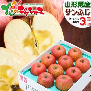 【予約】 山形県産 ご家庭用 りんご サンふじ 3kg (準秀品/8玉〜14玉入り) リンゴ 林檎 さんふじ 訳あり わけあり 自宅用 果物 産地直送 お取り寄せ