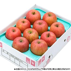 【予約】 山形県産 ご家庭用 りんご サンふじ...の詳細画像1