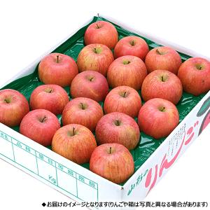 【予約】 山形県産 ご家庭用 りんご サンふじ...の詳細画像1