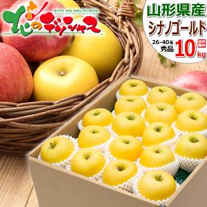予約】山形県産 ご家庭用 りんご シナノゴールド 10kg (準秀品/26玉 