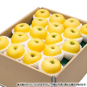 【出荷間近】山形県産 りんご シナノゴールド ...の詳細画像4