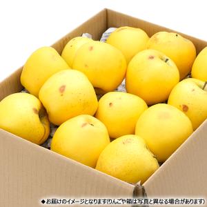 【予約】山形県産 ご家庭用 りんご シナノゴー...の詳細画像5