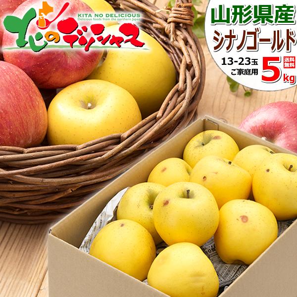 【出荷中】山形県産 ご家庭用 りんご シナノゴールド 5kg (訳あり/13玉〜23玉入り) 旬 リ...