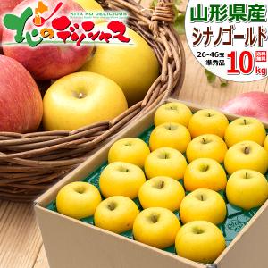 【出荷間近】山形県産 ご家庭用 りんご シナノゴールド 10kg (準秀品/26玉〜46玉入り) 旬 リンゴ 訳あり わけあり 自宅用 家庭用 果物 フルーツ お取り寄せ