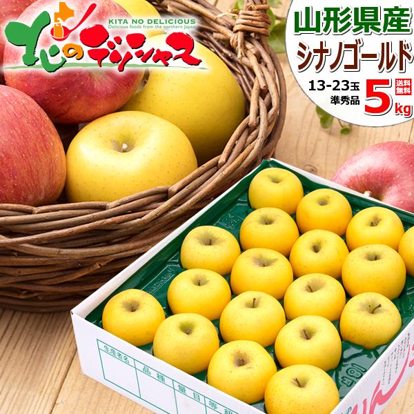 【出荷中】山形県産 ご家庭用 りんご シナノゴールド 5kg (準秀品/13玉〜23玉入り) 旬 リ...