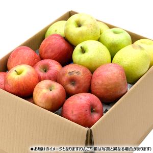【予約】山形県産 ご家庭用 りんご サンふじ&...の詳細画像1
