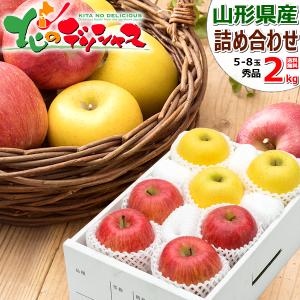 予約】 山形県産 りんご はるか 3kg (秀品/8玉〜12玉入り) 2026 旬 蜜