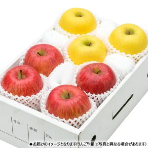 【予約】山形県産 りんご サンふじ&シ...の詳細画像1
