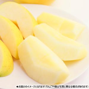 【予約】山形県産 りんご サンふじ&シ...の詳細画像4