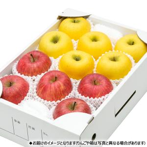 【予約】山形県産 りんご サンふじ&シ...の詳細画像1
