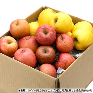 【予約】山形県産 ご家庭用 りんご サンふじ&...の詳細画像1