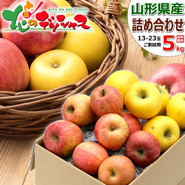 【出荷間近】山形県産 ご家庭用 りんご サンふじ&amp;シナノゴールド 5kg (訳あり/13玉〜23玉入...