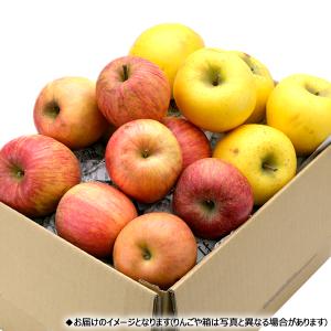 【予約】山形県産 ご家庭用 りんご サンふじ&...の詳細画像1
