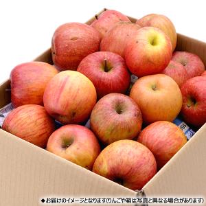 【出荷間近】山形県産 ご家庭用 りんご サンつ...の詳細画像3