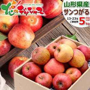予約】山形県産 ご家庭用 りんご 紅玉 4.5kg (訳あり/20玉〜30玉入り