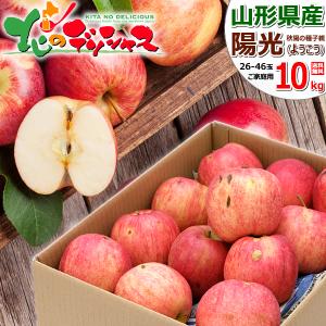 【予約】山形県産 ご家庭用 りんご 陽光 10kg (訳あり/26玉〜46玉入り) 秋の味覚 ようこう 林檎 自宅用 人気 果物 山形県 産地直送 送料無料 お取り寄せ