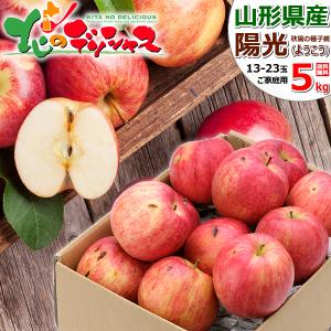 予約】青森県産 ご家庭用 りんご サンふじ 10kg (訳あり/26玉〜46玉