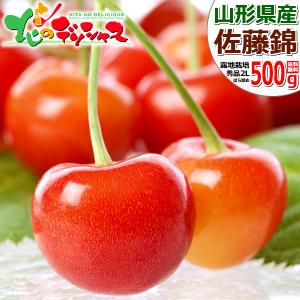 【予約】山形県産 さくらんぼ 佐藤錦 500g (秀品/2Lサイズ/ばら詰め/500g×1p/ 化粧箱入り) 露地 お中元 ギフト 贈り物 プレゼント 送料無料 お取り寄せ｜北のデリシャス