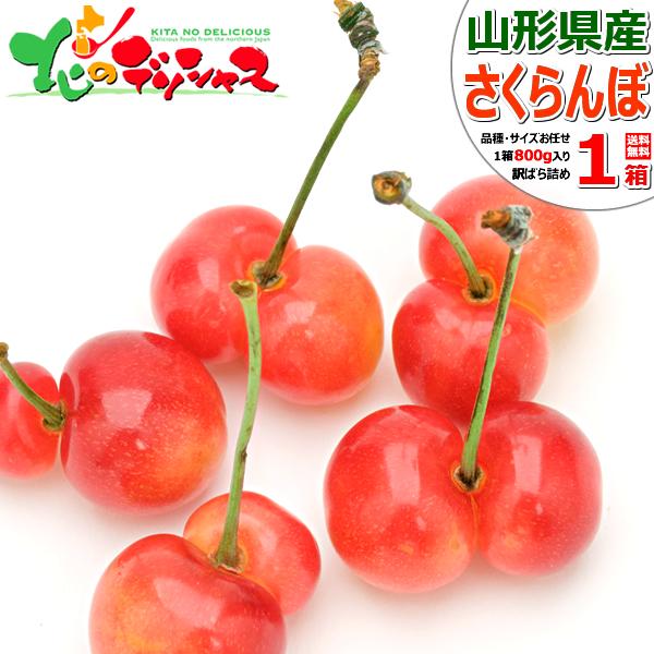 【予約/お届け日指定不可】山形県産 ご家庭用 双子 さくらんぼ 800g (訳あり/ばら詰め/産地箱...
