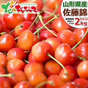 山形県産 ご家庭用 さくらんぼ 佐藤錦 2kg (訳あり/Lサイズ/ばら詰め/1kg×2箱) 旬 露地 わけあり 自宅用 家庭用 お得 大盛り 山形県 産地直送 お取り寄せ