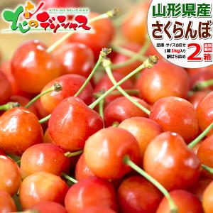 【出荷中/お届け日指定不可】山形県産 ご家庭用 さくらんぼ 1kg×2箱(訳あり/品種・サイズお任せ/ばら詰め/産地箱/クール冷蔵便) わけあり 山形県 お取り寄せ