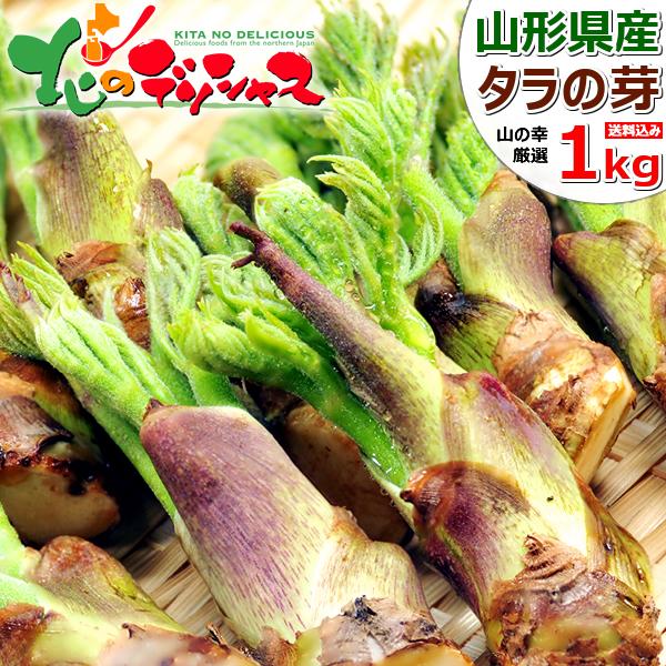 【予約/お届け日指定不可】山形県産 山菜 タラの芽 1kg入り 春の味覚 山の幸 山菜の王様 たらの...