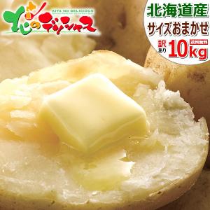 【販売終了】北海道産 訳あり じゃがいも 10kg (JA共撰/サイズお任せ/品種お任せ) ジャガイモ 新じゃが 馬鈴薯 野菜 北海道 グルメ 送料無料 お取り寄せ