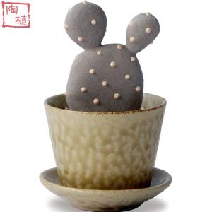 サボテンデザイン陶器食器セット 陶植 (陶器のサボテン＋益子焼3号鉢＋受け皿セット) ウチワサボテン