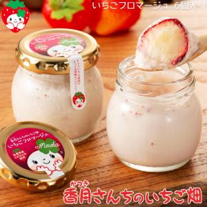 佐賀県産さがほのか いちごフロマージュ 6個入りギフトBOX 香月農園 美味しい 苺レアチーズケーキ イチゴ スイーツ 産直 グルメ 御礼 祝 香月さんちのいちご畑