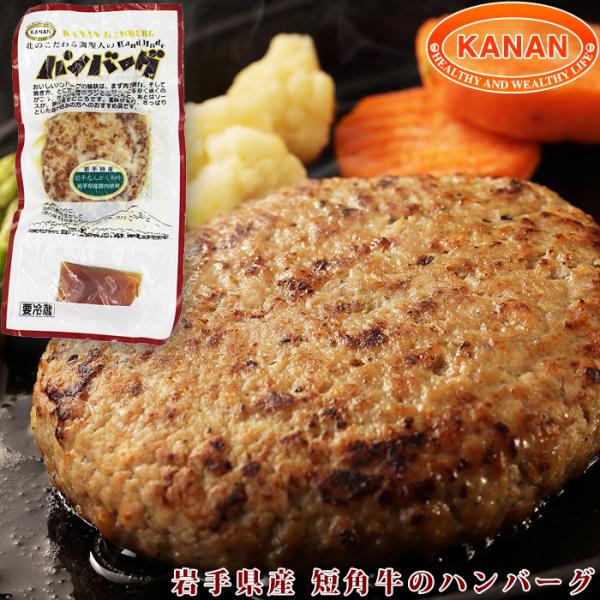 岩手県産 短角牛ハンバーグ (岩手県産豚肉入) 120ｇ 5個セット 低脂肪 ヘルシー 赤身肉 無添...