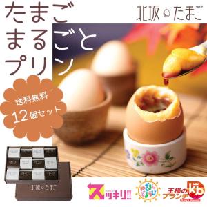 ☆たまこさま専用☆ たまごっち 【エントリーでポイント+4倍】(早期購買特典：『みゃ