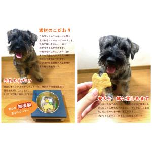 贈り物 プレゼント ギフトにもぴったり。ドック...の詳細画像1