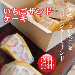 今期の販売は終了いたしまし。贈り物 ギフトにもぴったり