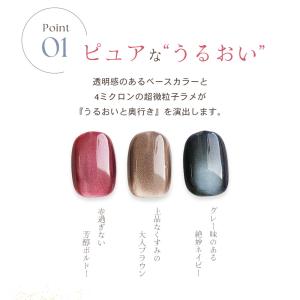 HEMAフリー マグネットジェル うるおいマグ...の詳細画像2