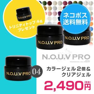 ★メール便のみ送料無料★【59％OFF】 クリアジェル4g付き★NOUV PRO カラージェル2色お試しセット