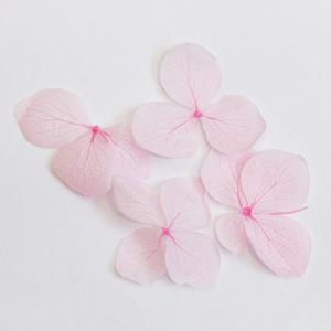 アジサイ 押し花ネイルの商品一覧 通販 Yahoo ショッピング