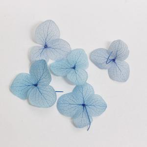 アジサイ 押し花ネイルの商品一覧 通販 Yahoo ショッピング