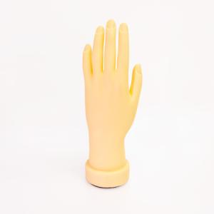 JNEC認定 STモデルハンド 3点セット ネイルチップ/ルース