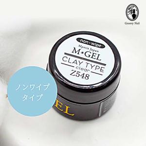 JNEC認定 STモデルハンド 3点セット ネイルチップ/ルース