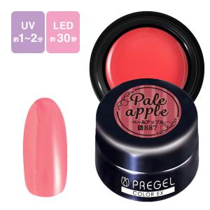 PREGEL プリジェル カラーEx ジェルネイル カラージェル 3g 249 漆黒