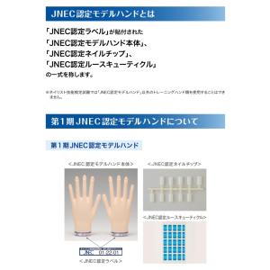 JNEC認定 STモデルハンド 3点セット ネ...の詳細画像2