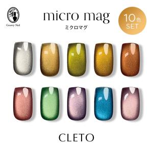 ミラージュ Mirage カラーパウダー N/AGS 3.5g 10色セット アクリル