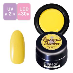 PREGEL プリジェル グロッシートップ 4g PREGEL トップジェル ジェル