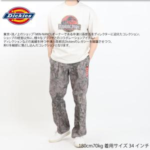 Dickies ディッキーズ 874 中津川吾...の詳細画像3
