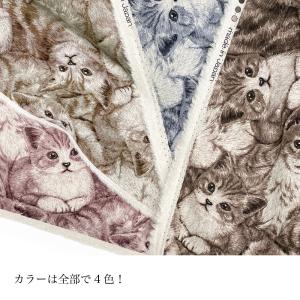 綿麻リアルプリントキャット アメリカンショート...の詳細画像1