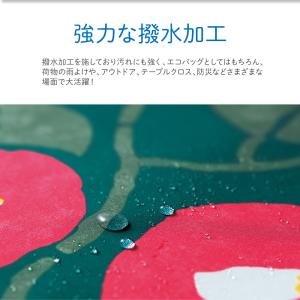 アクアドロップ ふろしき 風呂敷 リサイクルポ...の詳細画像1