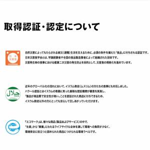 尾西食品 マイルドカレーライス 非常食 5個セットの詳細画像4
