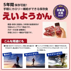 井村屋 えいようかん 長期保存用 非常食 えい...の詳細画像2