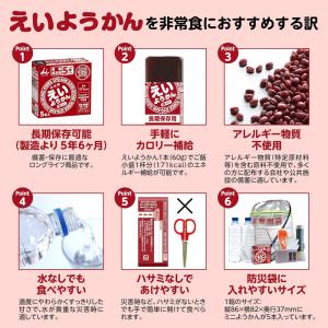 井村屋 えいようかん 長期保存用 非常食 えい...の詳細画像3