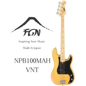 FUJIGEN（フジゲン） [※お取り寄せ商品] FGN Fujigen NJB100RALV BK